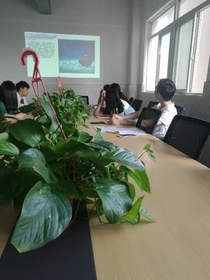 江苏景宁信息技术 专业信息技术咨询的新力量