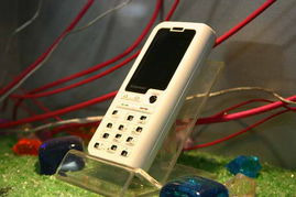 5号馆联想产品秀 2005年中国国际通信设备技术展的机械设备租赁亮点